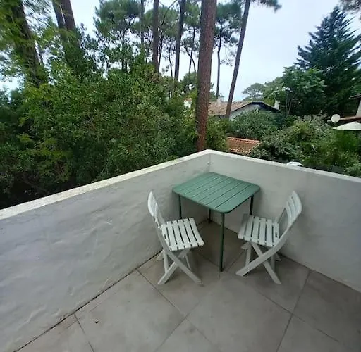 Maison Alisan - Dune Du Pilat Villa *
